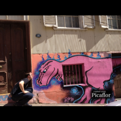 「Picaflor」仕上がりはまるで芸術作品！一色だけを強調した格好いい写真を作れる加工アプリ！のサムネイル