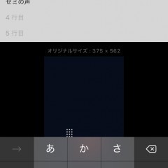 「フォト一句LITE - 縦書き・文字をかんたんレイアウト - photoikku LITE」でオリジナル作品を楽しもうのサムネイル