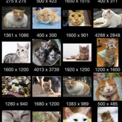 「画像検索－画像や壁紙をiPhone上で検索」！のサムネイル