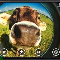 「魚眼カメラ (Fisheye Pro) - Fisheye Camera」動物のデカ鼻写真も撮れちゃう本格魚眼カメラ！のサムネイル