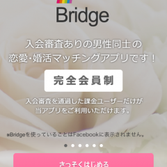 「ゲイの真面目な出会い-恋愛・婚活マッチングアプリBridge（ブリッジ）」はゲイ専用のマッチングアプリのサムネイル