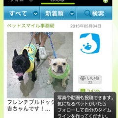 「ペットスマイル」–ペット版のSNSスタート！全国の可愛いペットの日常が見れちゃいます！のサムネイル
