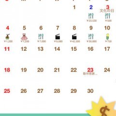 Hinakko Expense Managerは家計簿の支出のみを管理する便利アプリのサムネイル