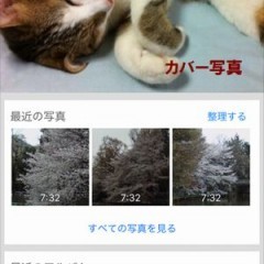 「Yahoo!かんたん写真整理」で、あなたの日常や思い出をかんたんに見やすく整理のサムネイル