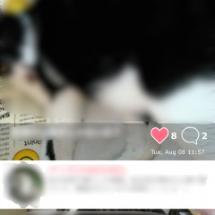 「みんなでつくろう！猫図鑑」猫の可愛い魅力を共有できる猫好きのためのSNS癒しアプリ！のサムネイル