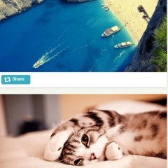 自由自在に編集＆共有できるアプリ「Muzy: Photo Editors, Collages, and more」						 						 						 						のサムネイル