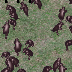 「ほかくクマー」で捕獲三昧のサムネイル