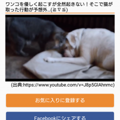 「ペットフィルム」を日々の活力に、犬や猫が忙しいあなたを癒します！のサムネイル