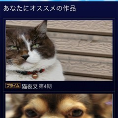 「みるプラス」でいろんな動画を見てみよう！のサムネイル