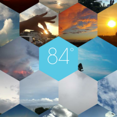 Sunnycombのサムネイル