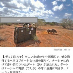 海外ニュースに強いニュースアプリ「AFPBB News」のサムネイル