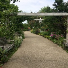 「DT:CALC」で日時のカウントは完璧！のサムネイル