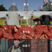 「北海道Likers」観光・グルメ・新スポット、北海道の魅力を伝えるアプリのサムネイル