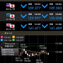 「店頭FX smart」シンプルさとスピーディな取引ツールのサムネイル