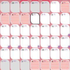 女性の身体のリズムが分かる！【WomanLog カレンダー】のサムネイル