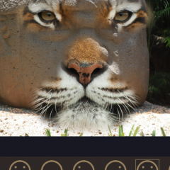  「InstaFace:face eyes blend morph with animal effect」で動物と合体！？のサムネイル