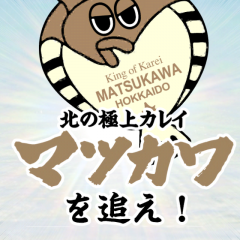 幻の魚？「マツカワを追え！」で美味しく面白く魚を食べよう！のサムネイル