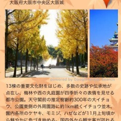 「紅葉マップ」シンプルな操作で紅葉のスポット情報を確認できるアプリのサムネイル