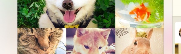 犬派大集合 犬が大好きな方必見のアプリ１０選 Iphone Android対応のスマホアプリ探すなら Apps