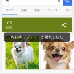 面倒くさがりな人必見！写真で簡単メモ代わり、おすすめスクリーンショットの便利アプリ10選！のサムネイル