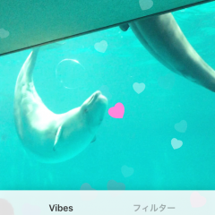 動画編集やスライドショーを作成したい人におすすめのアプリ5選！のサムネイル