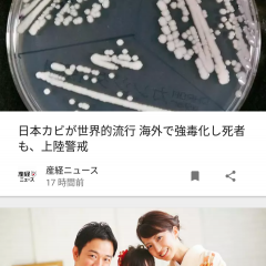 便利に使える、ニュースアプリの後読み機能のサムネイル