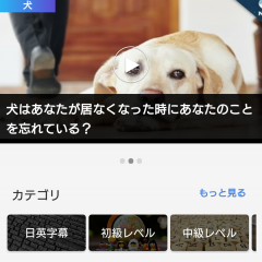 興味のある動画で学べる！英語学習アプリ「VoiceTube」が便利のサムネイル