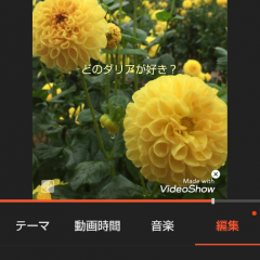 初心者とは思えない完成度！作り方が簡単な動画作成アプリ4選のサムネイル