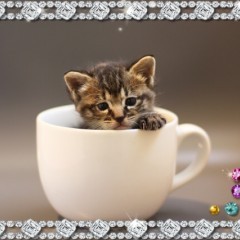 額縁風フレームで写真をアートっぽく！お勧め写真加工アプリ3選とやり方のサムネイル