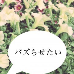 バズらせたい人必見！Twitter映えできる写真加工方法とアイデアのサムネイル