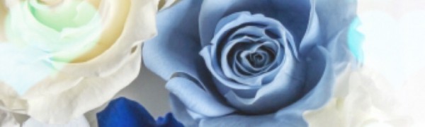 インスタで目立つ 派手加工のやり方とマストハブの写真加工アプリ5選 Iphone Android対応のスマホアプリ探すなら Apps