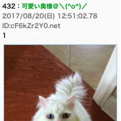 情報チェックに便利な2chまとめアプリ5選のサムネイル