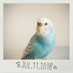 スマホでおしゃれなポラロイド風写真を作る5つの条件＆写真加工アプリのサムネイル