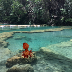 自由に背景を白くしたり消したりする写真加工のやり方&お勧めアプリ4選のサムネイル