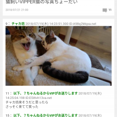 必見！モッサリ重い2chまとめアプリをスッキリ軽くする4つのワザのサムネイル