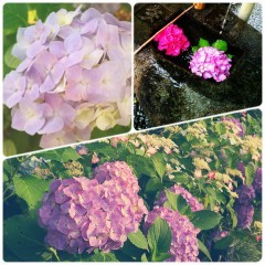 フレーム&加工で写真をオシャレに魅せよう！使いやすい写真加工アプリ3選のサムネイル