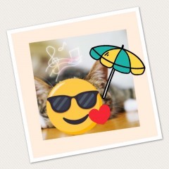 スタンプの写真加工で写真を超可愛くするテク＆おすすめアプリ4選のサムネイル