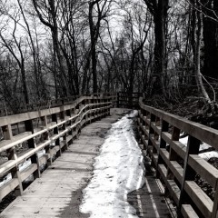  深みのあるオシャレなモノクロ写真を作る写真加工アプリと上級テクニックのサムネイル