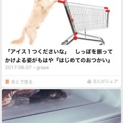 みんなの話題になる？ニュースアプリ「grape」の魅力のサムネイル