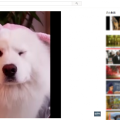 YouTubeがダウンロードできない場合は？オフラインで動画をみる方法のサムネイル