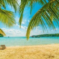 旅行シーズンはこれから！旅のお役立ちアプリで準備万端のサムネイル